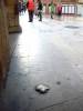 Oviedo(67)