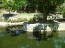 Santander(74)-Parque de Mataleñas-Estanque de Mataleñas