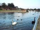 Salvaterra(07)-Parque ''A Canuda''
