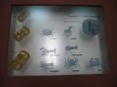 Santiago de Compostela(75)-Museo do Pobo Galego 
